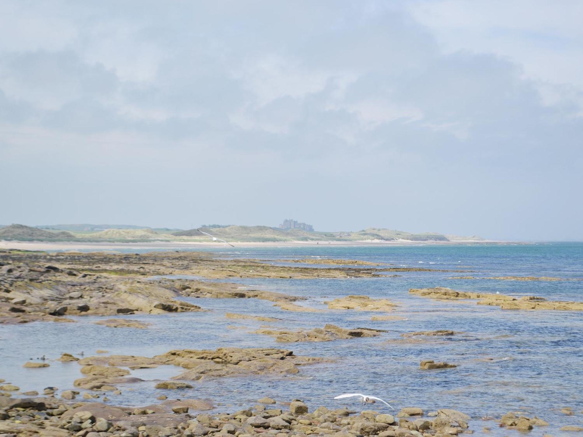 Erskine Cottage Seahouses Zewnętrze zdjęcie